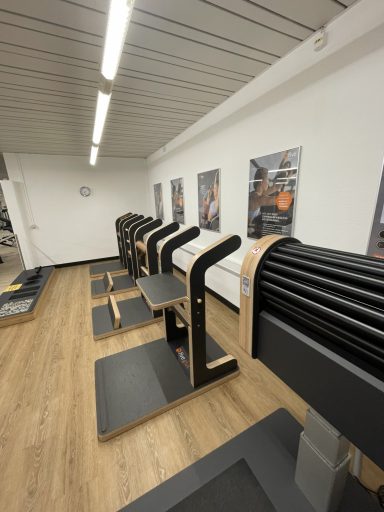 Five-Zirkel Five-Zirkel