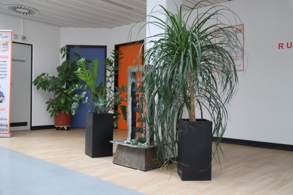 Entspannung Entspannung